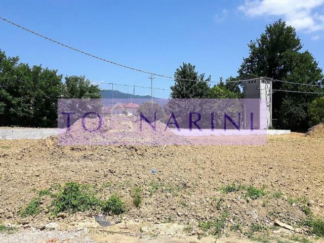 Terreno in vendita a Buggiano, Toscana