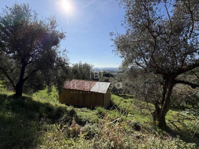Terreno in vendita a Buggiano Castello, Buggiano