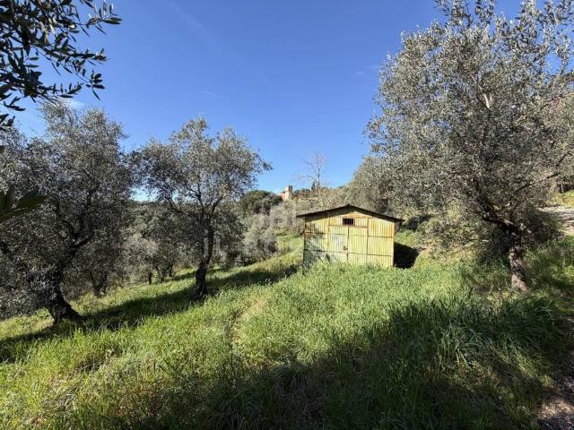Terreno in vendita a Buggiano Castello, Buggiano