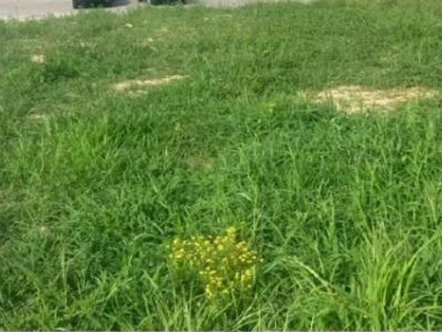Terreno in vendita a Buguggiate, Varese