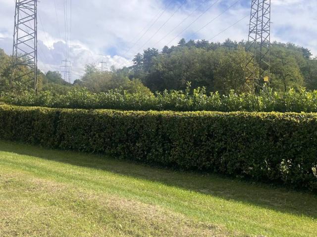 Terreno in vendita a Bulciago, Lombardia