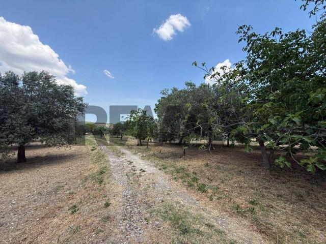 Terreno in vendita a Buscemi, Sicilia