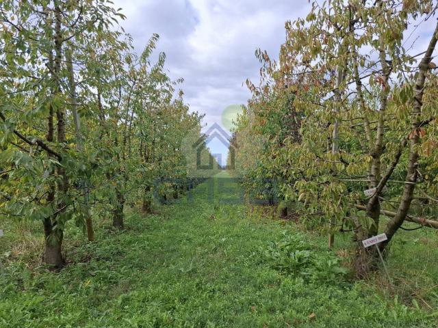 Terreno in vendita a Busseto, Reggio Emilia