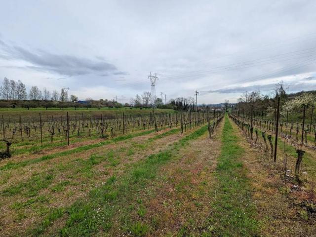 Terreno in vendita a Bussolengo, Veneto