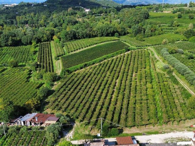 Terreno in vendita a Bussolengo, Veneto
