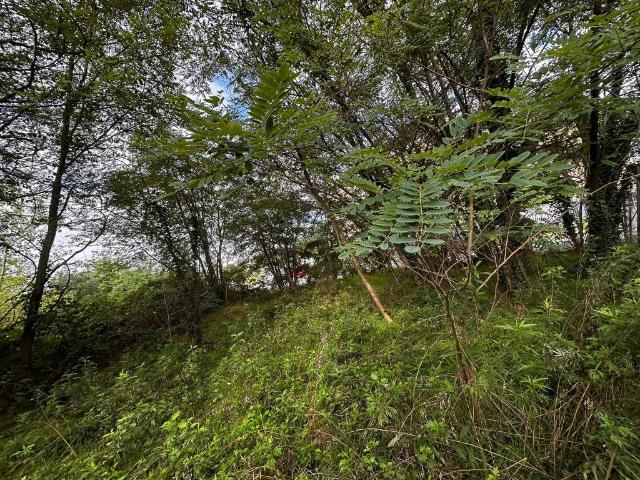 Terreno in vendita a Busto Arsizio, Lombardia