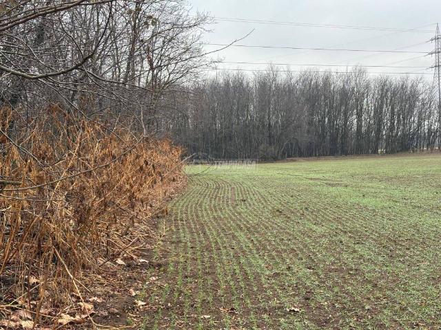Terreno in vendita a Busto Arsizio, Lombardia