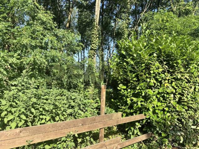 Terreno in vendita a Busto Arsizio, Lombardia