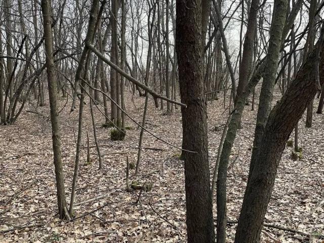 Terreno in vendita a Busto Arsizio, Lombardia