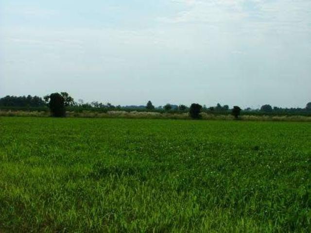 Terreno in vendita a Busto Garolfo, Lombardia