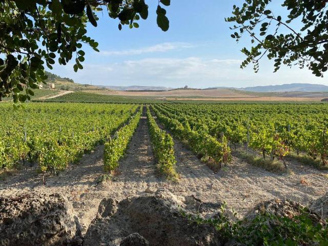 Terreno in vendita a Butera, Sicilia