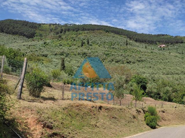 Terreno in vendita a Buti, Toscana