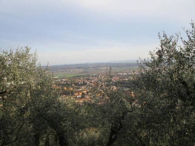 Terreno in vendita a Castel di Nocco, Buti