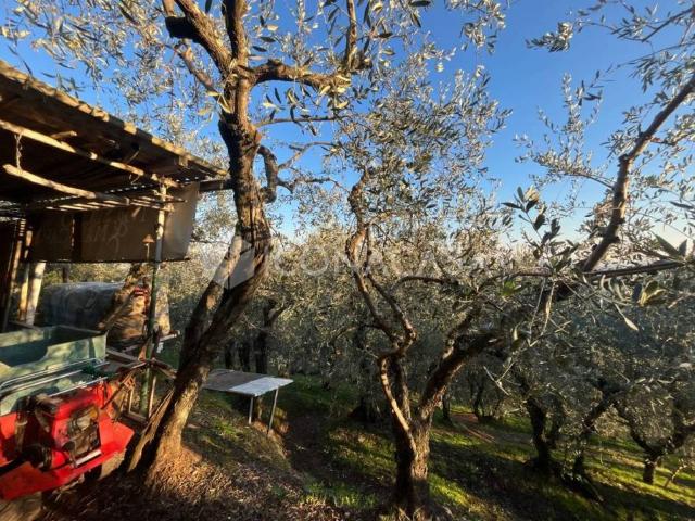 Terreno in vendita a Buti, Toscana