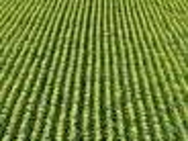 Terreno in vendita a Terra di Mezzo, Re