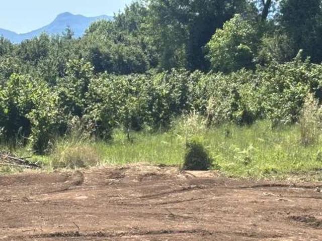Terreno in vendita a Montano, Caianello