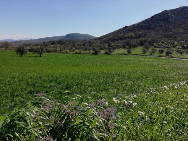 Terreno in vendita a Caiazzo, Campania