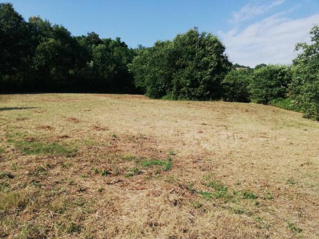 Terreno in vendita a Caiazzo, Campania