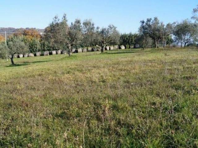 Terreno in vendita a Caiazzo, Campania