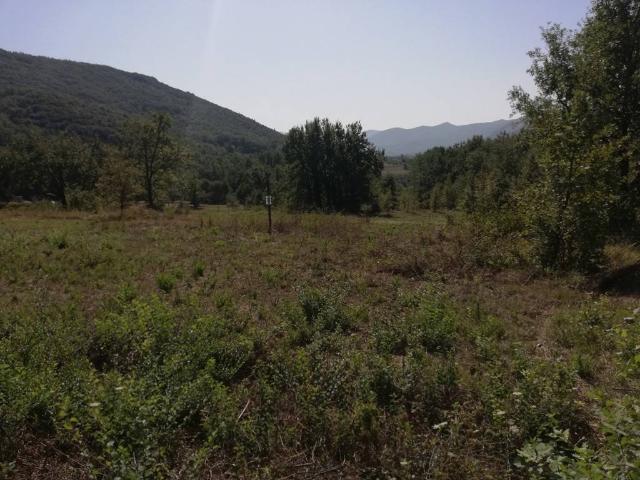 Terreno in vendita a Caiazzo, Campania