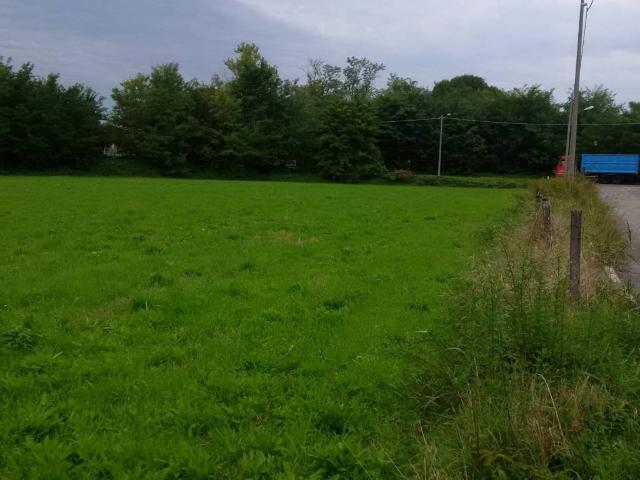 Terreno in vendita a Cairate, Lombardia