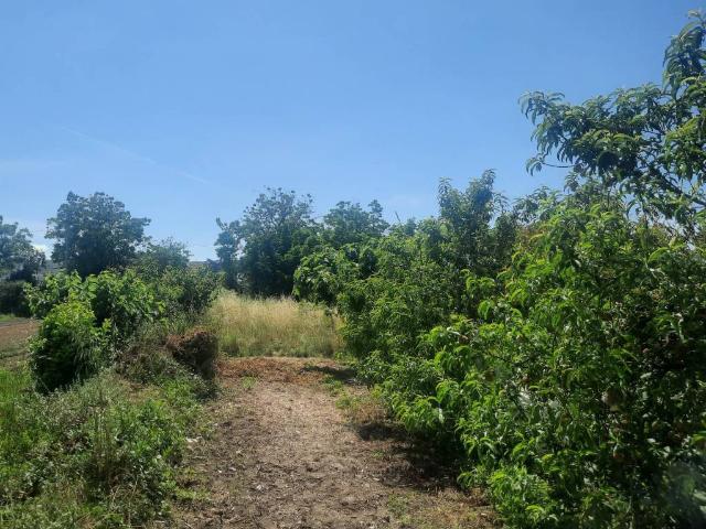 Terreno in vendita a Caivano, Campania
