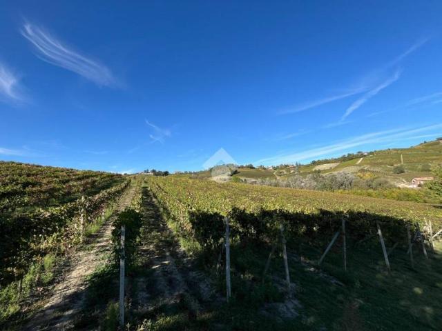 Terreno in vendita a Piemonte, Asti
