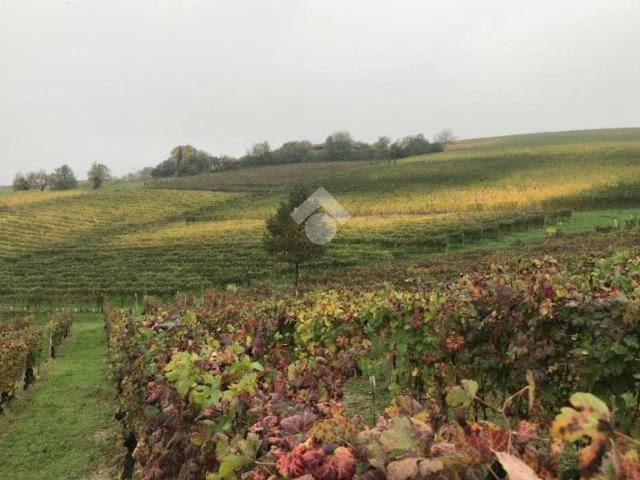 Terreno in vendita a Piemonte, Asti