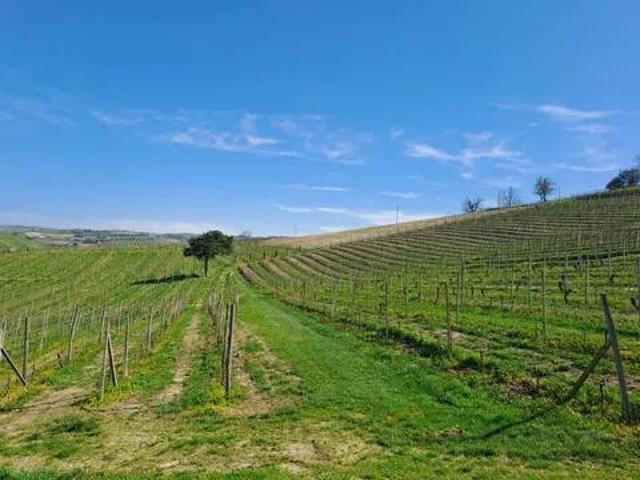 Terreno in vendita a Piemonte, Asti
