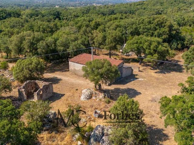Terreno in vendita a Calangianus, Sardigna/Sardegna