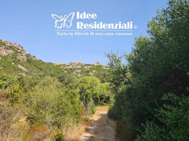 Terreno in vendita a Calangianus, Sardigna/Sardegna