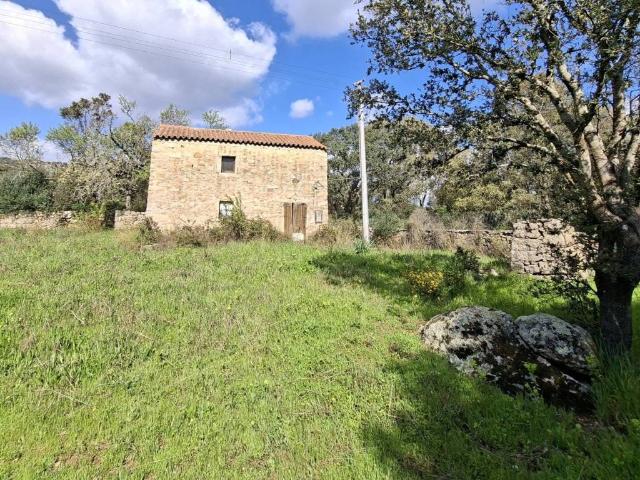 Terreno in vendita a Calangianus, Sardigna/Sardegna