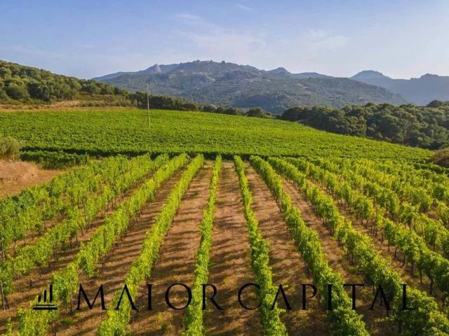 Terreno in vendita a Calangianus, Sardigna/Sardegna