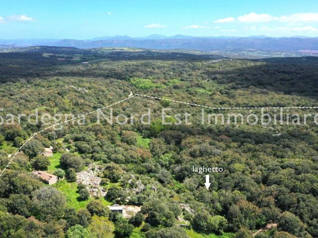 Terreno in vendita a Calangianus, Sardigna/Sardegna