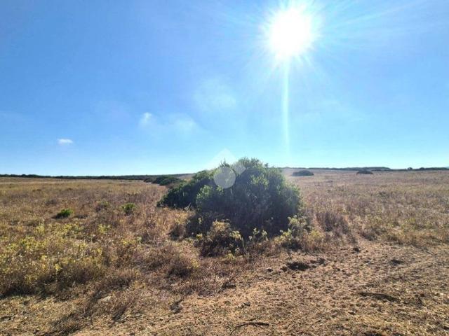 Terreno in vendita a Calasetta, Sardigna/Sardegna