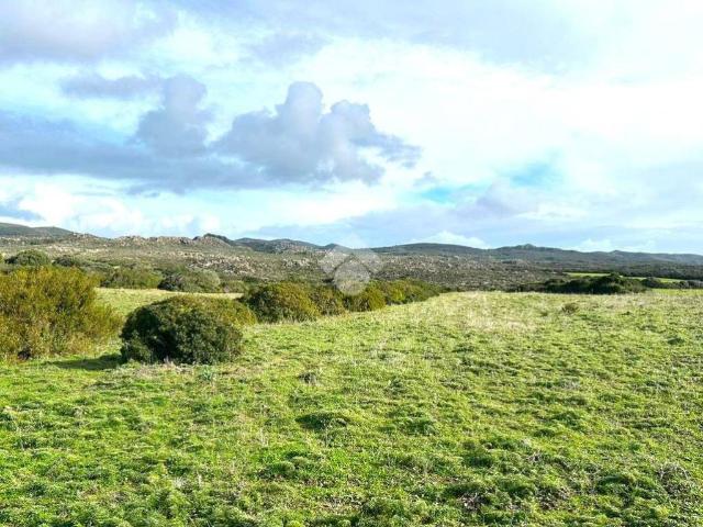 Terreno in vendita a Calasetta, Sardigna/Sardegna