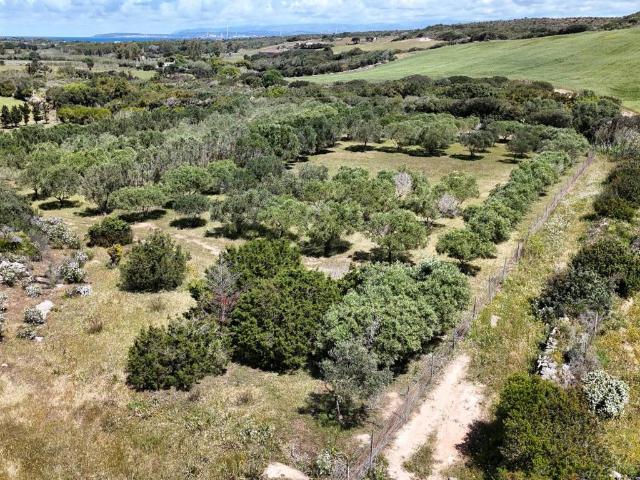 Terreno in vendita a Calasetta, Sardigna/Sardegna