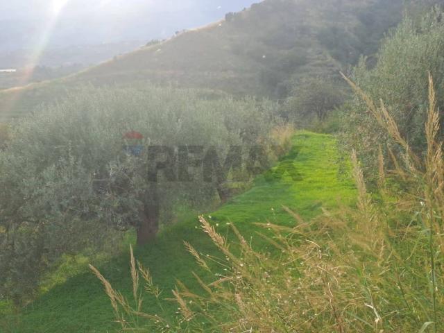 Terreno in vendita a Calatabiano, Sicilia