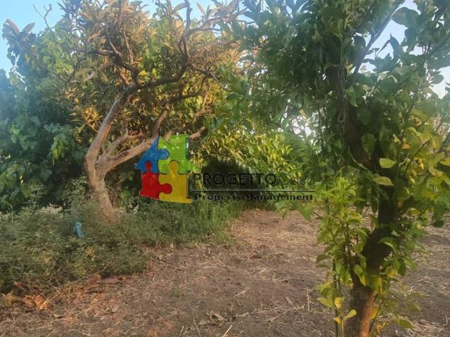 Terreno in vendita a Lapide Pasteria, Calatabiano