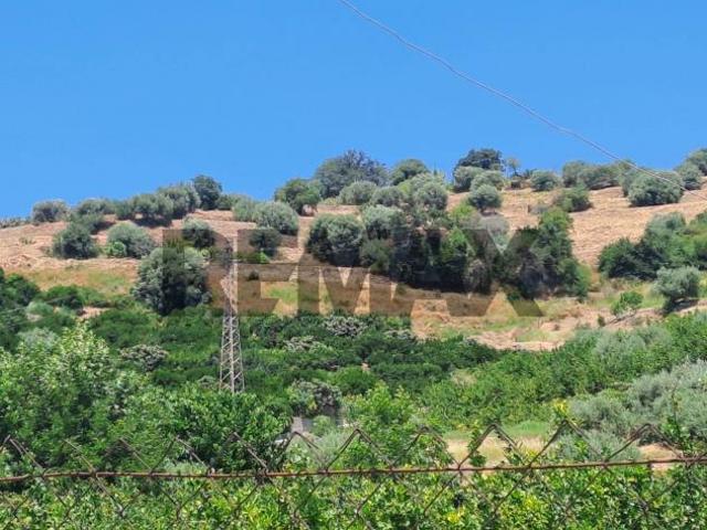 Terreno in vendita a Calatabiano, Sicilia