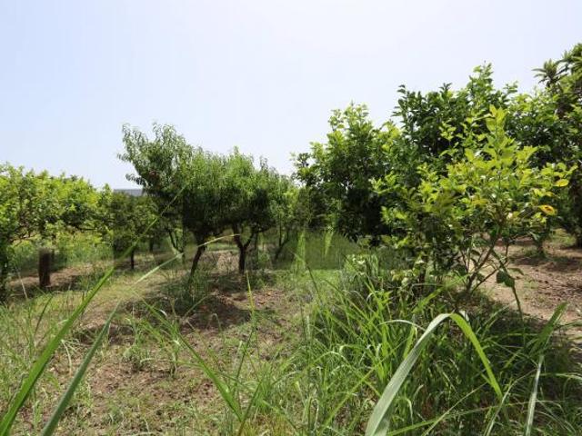 Terreno in vendita a Calatabiano, Sicilia