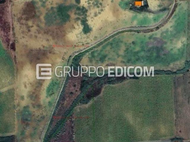 Terreno in vendita a Calatafimi Segesta, Trapani