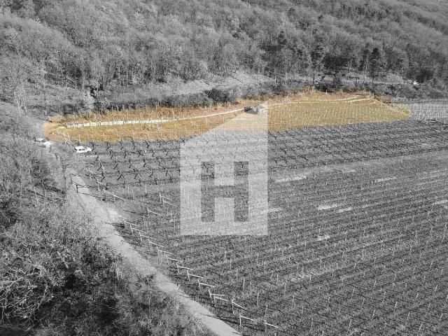 Terreno in vendita a Überetsch-Unterland - Oltradige-Bassa Atesina, Caldaro - Kaltern