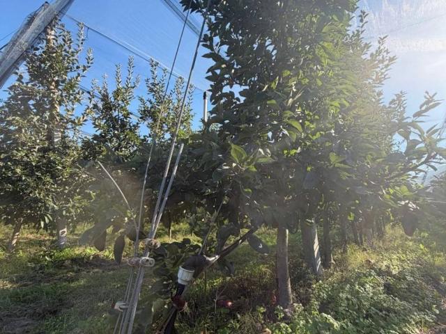 Terreno in vendita a Überetsch-Unterland - Oltradige-Bassa Atesina, Caldaro - Kaltern