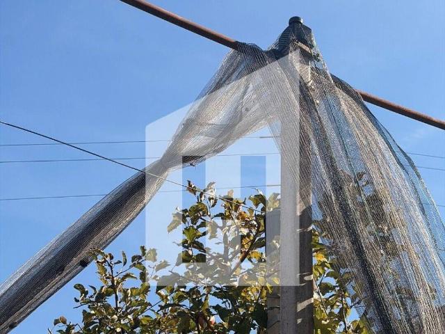 Terreno in vendita a Überetsch-Unterland - Oltradige-Bassa Atesina, Caldaro - Kaltern