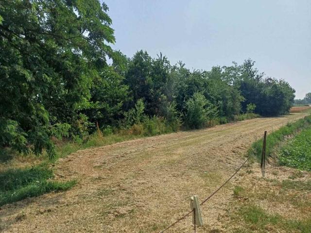 Terreno in vendita a Longara, Calderara di Reno