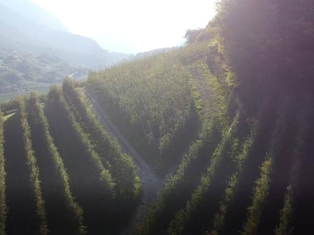 Terreno in vendita a Comunità della Valle di Sole, Caldes
