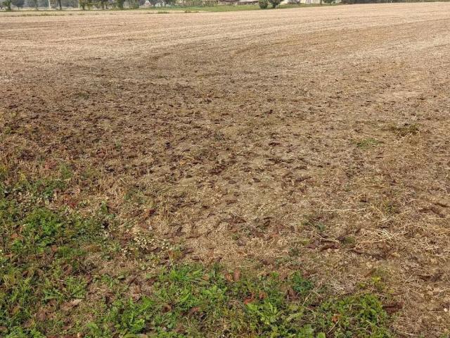 Terreno in vendita a Caldogno, Veneto