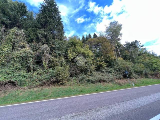 Terreno in vendita a Comunità Alta Valsugana e Bersntol, Caldonazzo