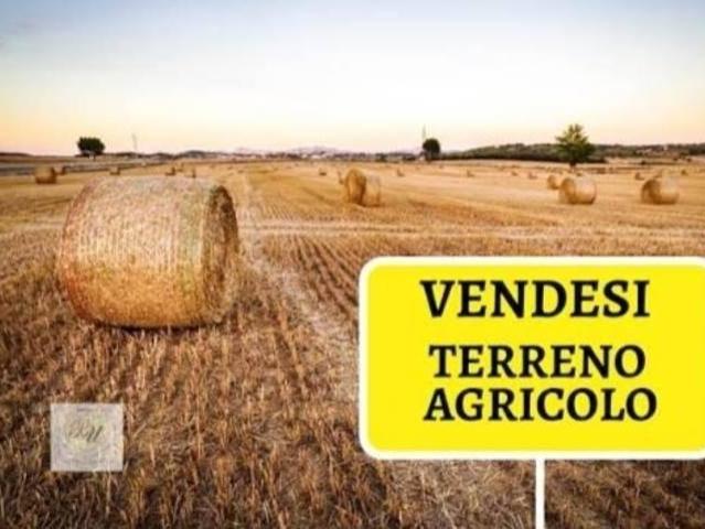 Terreno in vendita a Collina, Sesto Fiorentino